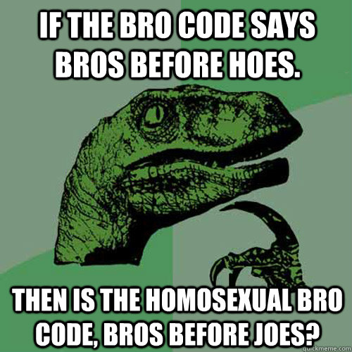 If the bro code says bros before hoes.  Then is the homosexual bro code, bros before joes?  Philosoraptor