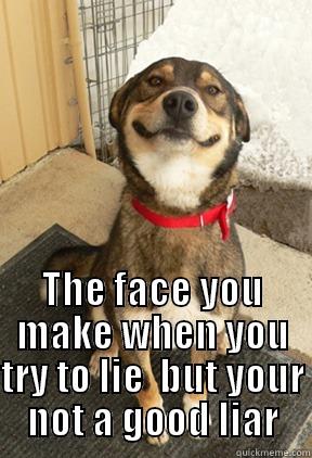 The face you make when you try to lie  but your not a good liar -  THE FACE YOU MAKE WHEN YOU TRY TO LIE  BUT YOUR NOT A GOOD LIAR Good Dog Greg