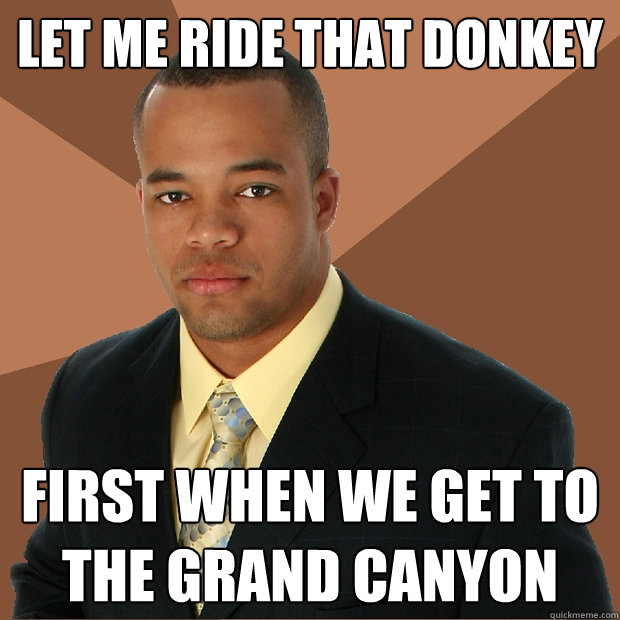 Let me ride that donkey first when we get to the grand canyon  Successful Black Man