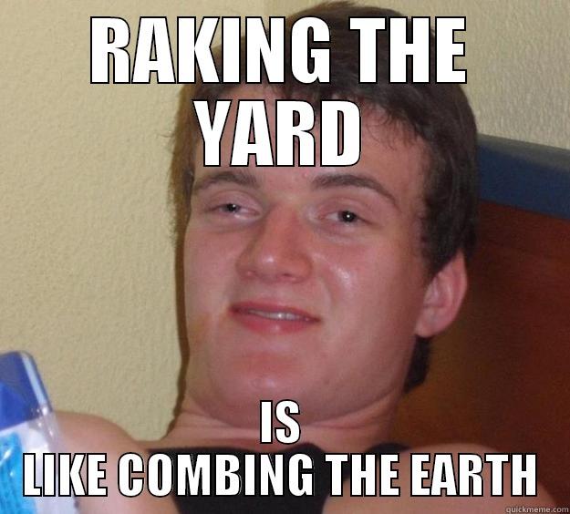 RAKING THE YARD IS LIKE COMBING THE EARTH 10 Guy