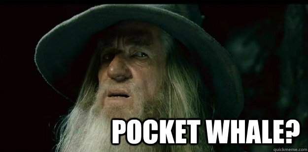                      Pocket whale?  I have no memory Gandalf