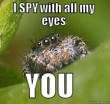 i spy - I SPY WITH ALL MY EYES YOU  Misunderstood Spider