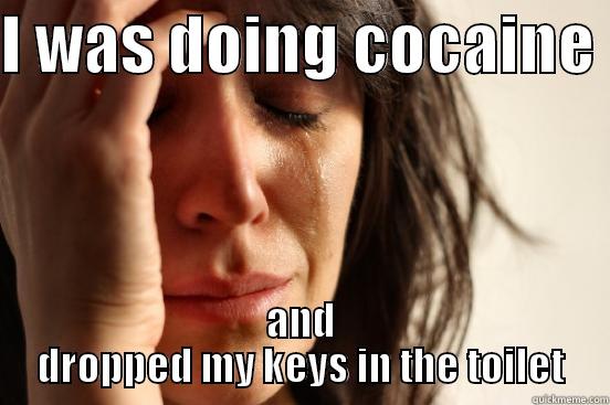 I WAS DOING COCAINE  AND DROPPED MY KEYS IN THE TOILET First World Problems