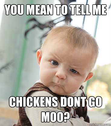 you mean to tell me chickens dont go moo?  skeptical baby