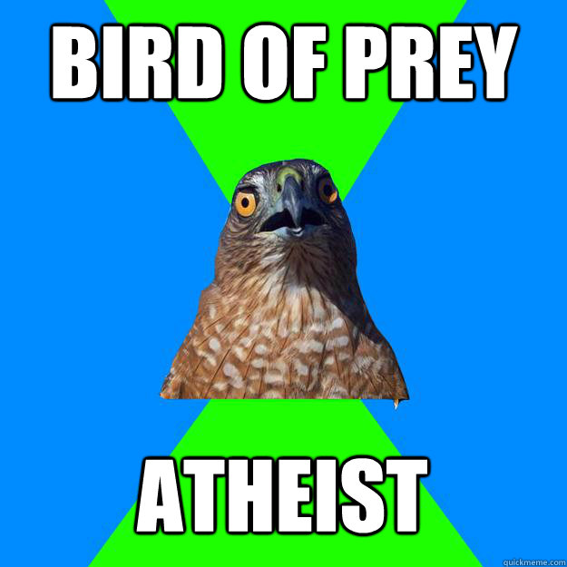Bird of Prey Atheist - Bird of Prey Atheist  Hawkward