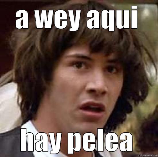 larry preocup - A WEY AQUI HAY PELEA conspiracy keanu