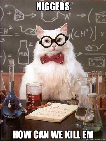 NIGGERS HOW CAN WE KILL EM - NIGGERS HOW CAN WE KILL EM  Chemistry Cat