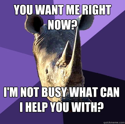 You want me right now? I'm not busy what can I help you with?  Sexually Oblivious Rhino