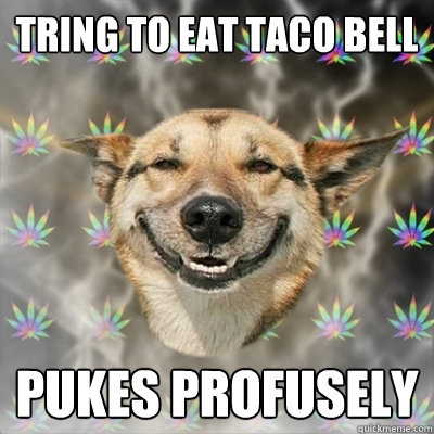 tring to eat taco bell pukes profusely  Stoner Dog