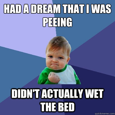 Had a dream that i was peeing didn't actually wet the bed - Had a dream that i was peeing didn't actually wet the bed  Success Kid