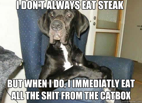 I don't always eat steak but when i do, I immediatly eat all the shit from the catbox  The Most Interesting Dog in the World