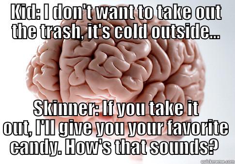 Operant Conditioning or Positive Reinforcement - KID: I DON'T WANT TO TAKE OUT THE TRASH, IT'S COLD OUTSIDE... SKINNER: IF YOU TAKE IT OUT, I'LL GIVE YOU YOUR FAVORITE CANDY. HOW'S THAT SOUNDS?  Scumbag Brain