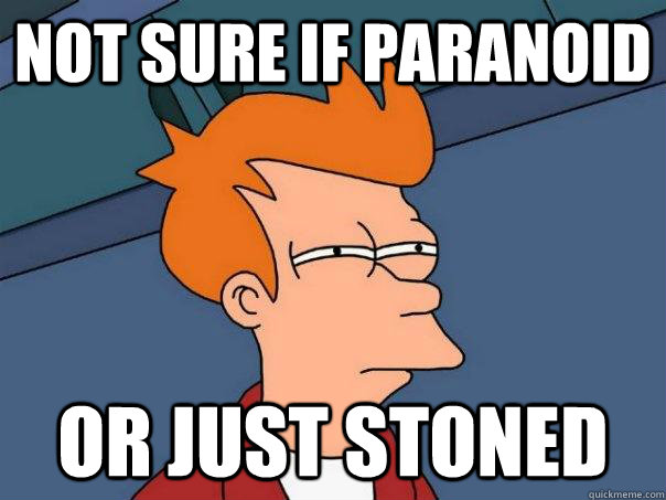 Not sure if paranoid Or just stoned  Futurama Fry