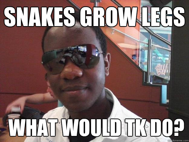 snakes grow legs  What would TK Do?  What would Tk Do