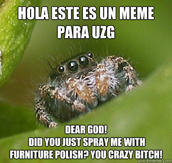 hola este es un meme para uzg dear god!
 did you just spray me with furniture polish? you crazy bitch!  Misunderstood Spider