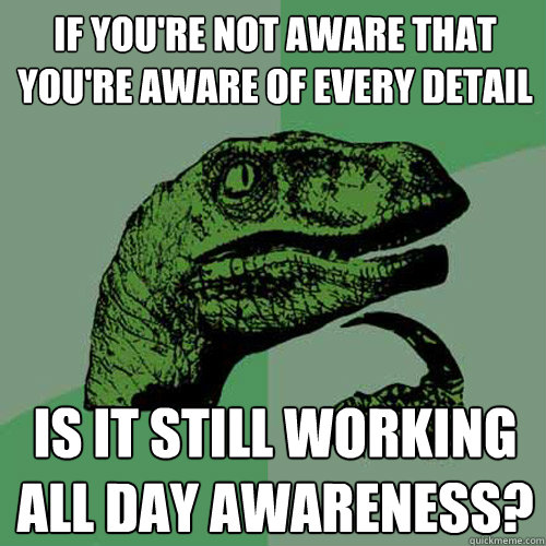 If you're not aware that you're aware of every detail Is it still working all day awareness? - If you're not aware that you're aware of every detail Is it still working all day awareness?  Philosoraptor