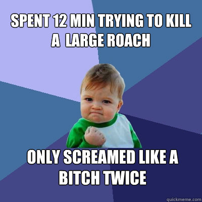 Spent 12 min trying to kill a  large roach Only screamed like a bitch twice - Spent 12 min trying to kill a  large roach Only screamed like a bitch twice  Success Kid