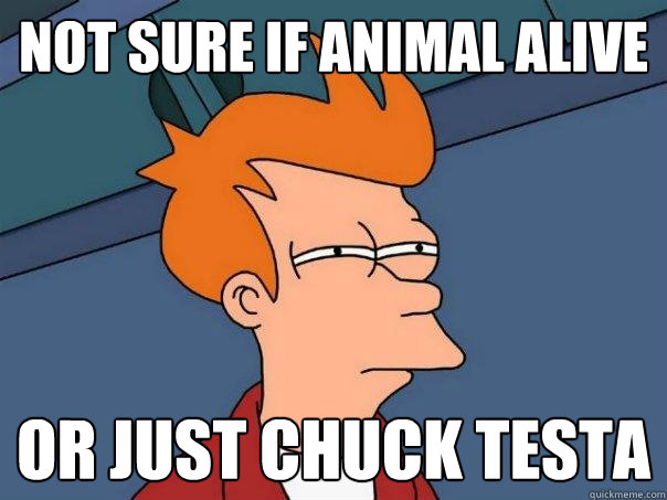 Not sure if animal alive or just chuck testa  Futurama Fry