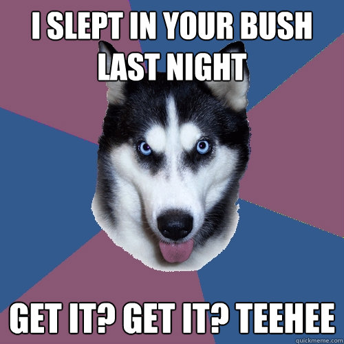 I slept in Your bush last night  get it? get it? teehee  Creeper Canine