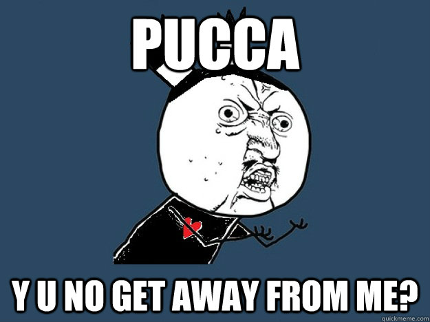 PUCCA Y U NO GET AWAY FROM ME?  Y U No