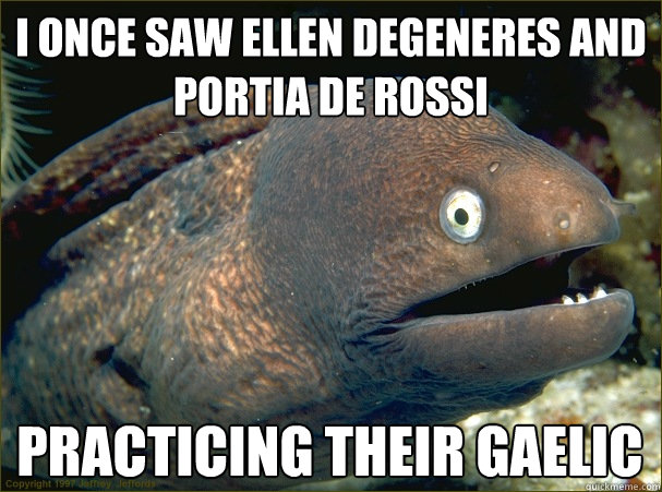 I once saw Ellen DeGeneres and Portia de Rossi practicing their Gaelic  Bad Joke Eel