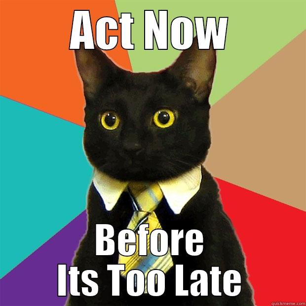 ACT NOW BEFORE ITS TOO LATE Business Cat