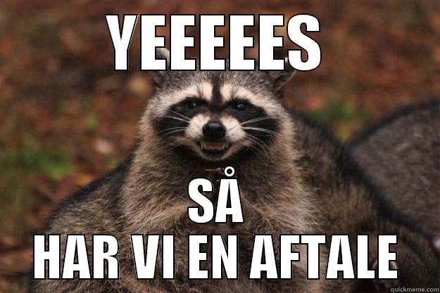 YEEEEES SÅ HAR VI EN AFTALE Evil Plotting Raccoon