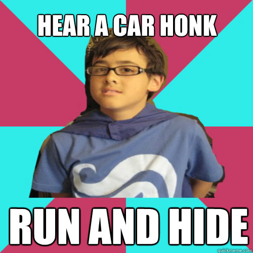 hear a car honk run and hide  Casual Homestuck Fan