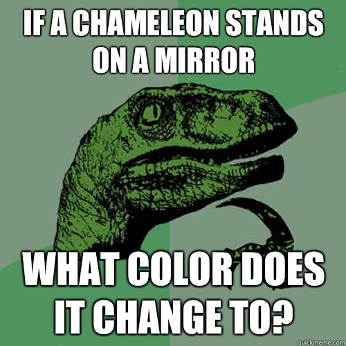 If a chameleon stands on a mirror What color does it change to?  Philosoraptor