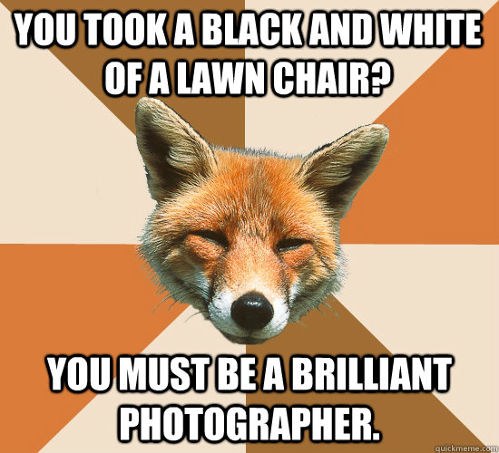 you took a black and white of a lawn chair? you must be a brilliant photographer.  Condescending Fox