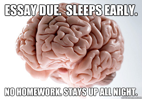 Essay due.  sleeps early. No homework. stays up all night.  Scumbag Brain