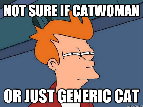 Not sure if catwoman Or just generic cat  Futurama Fry