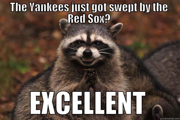 THE YANKEES JUST GOT SWEPT BY THE RED SOX? EXCELLENT Evil Plotting Raccoon