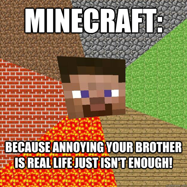 Minecraft: Because annoying your brother is real life just isn't enough!  Minecraft