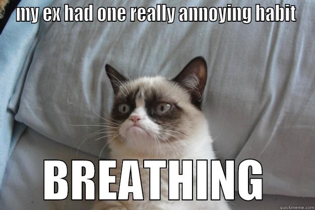 MY EX HAD ONE REALLY ANNOYING HABIT BREATHING Grumpy Cat