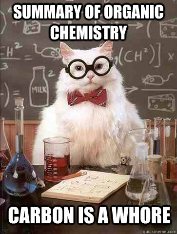 summary of Organic Chemistry carbon is a whore - summary of Organic Chemistry carbon is a whore  Chemistry Cat