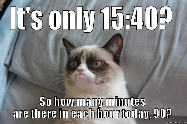 IT'S ONLY 15:40? SO HOW MANY MINUTES ARE THERE IN EACH HOUR TODAY, 90? Grumpy Cat