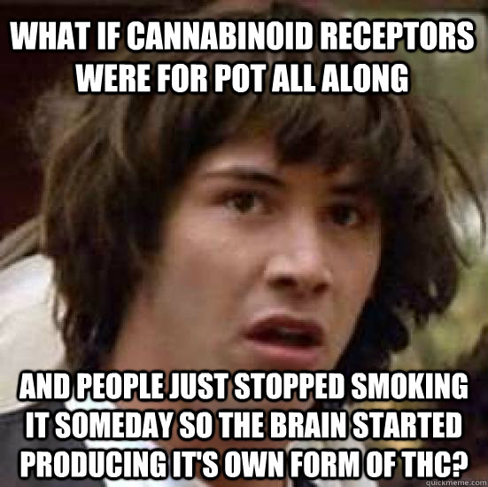 What if cannabinoid receptors were for pot all along and people just stopped smoking it someday so the brain started producing it's own form of THC?  conspiracy keanu