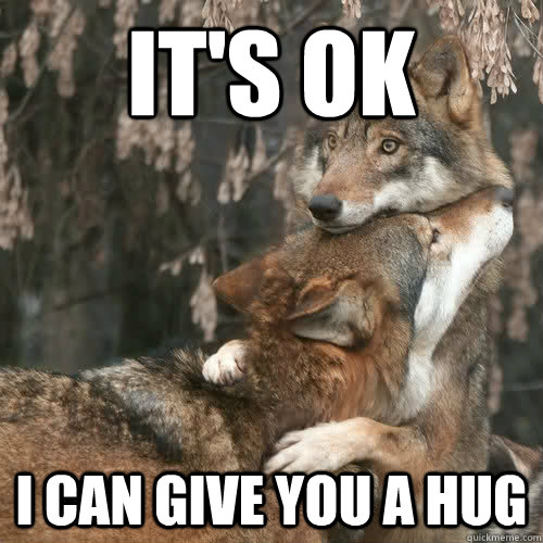 It's ok I can give you a hug - It's ok I can give you a hug  Comfort Wolf