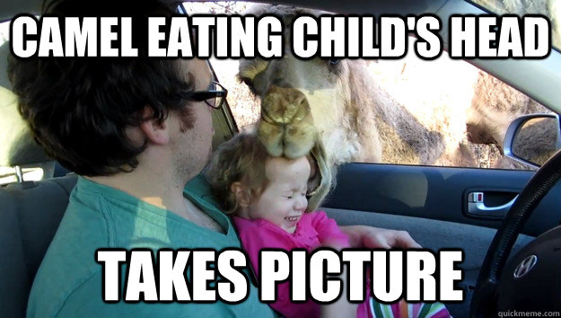 camel eating child's head takes picture - camel eating child's head takes picture  Misc