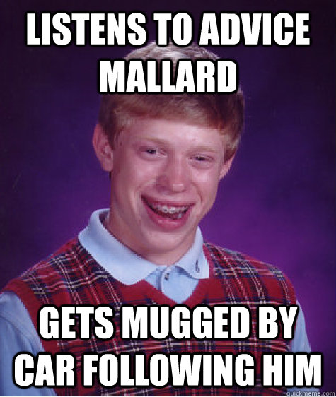 Listens to advice mallard gets mugged by car following him  Bad Luck Brian