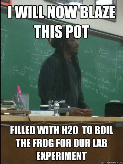 I will now blaze this pot filled with H2O  to boil the frog for our lab experiment  Rasta Science Teacher