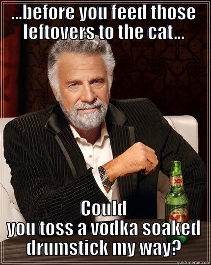 ...BEFORE YOU FEED THOSE LEFTOVERS TO THE CAT... COULD YOU TOSS A VODKA SOAKED DRUMSTICK MY WAY? The Most Interesting Man In The World