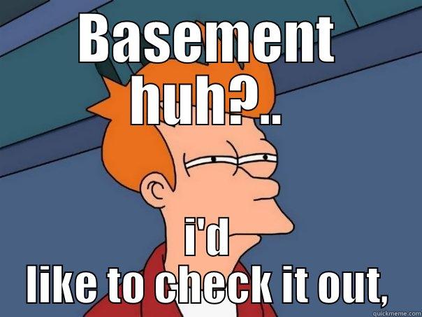 BASEMENT HUH?.. I'D LIKE TO CHECK IT OUT, Futurama Fry