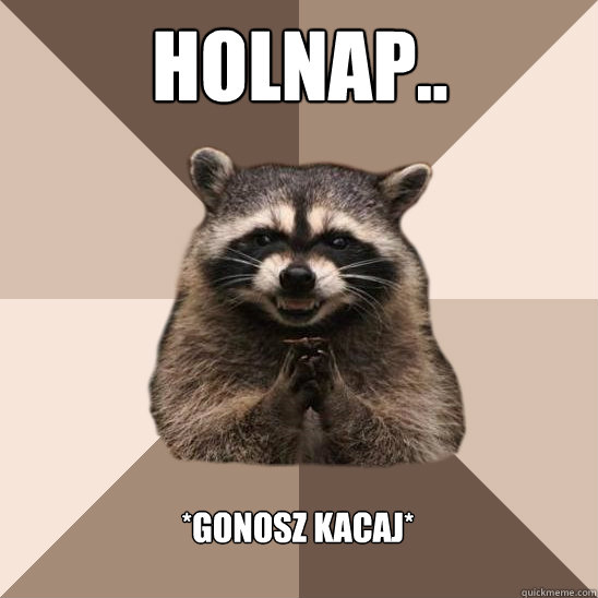 holnap.. *gonosz kacaj* - holnap.. *gonosz kacaj*  Evil Plotting Raccoon