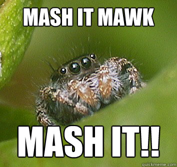 MASH IT MAWK MASH IT!!  Misunderstood Spider