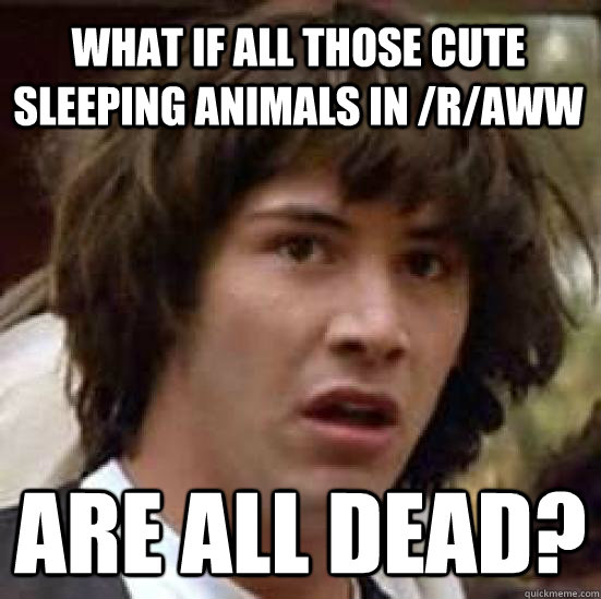 What if all those cute sleeping animals in /r/Aww Are all dead?  conspiracy keanu