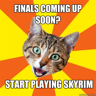 Finals coming up soon? START PLAYING SKYRIM - Finals coming up soon? START PLAYING SKYRIM  Bad Advice Cat