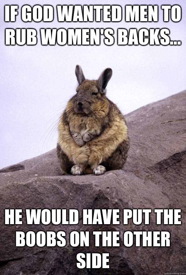 If God wanted men to rub women's backs... He would have put the boobs on the other side   Wise Wondering Viscacha