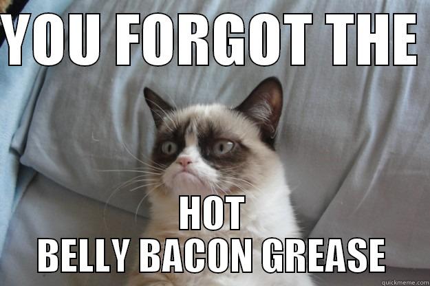 YOU FORGOT THE  HOT BELLY BACON GREASE Grumpy Cat